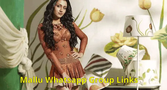 2100+ Mallu WhatsApp Group Links Join List 2024