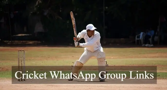 1280+ Active Cricket WhatsApp Group Links 2024