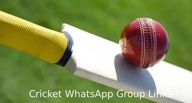 980+ Cricket WhatsApp Group Links | 2024