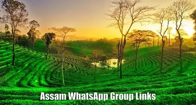 1250+ Assam WhatsApp Group Links Join List 2024