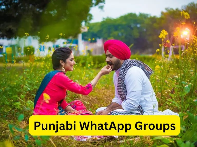 870+ Punjabi Whatsapp Group Links List 2024