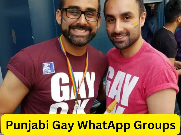 880+ Punjabi Gay Whatsapp Group Links List 2024