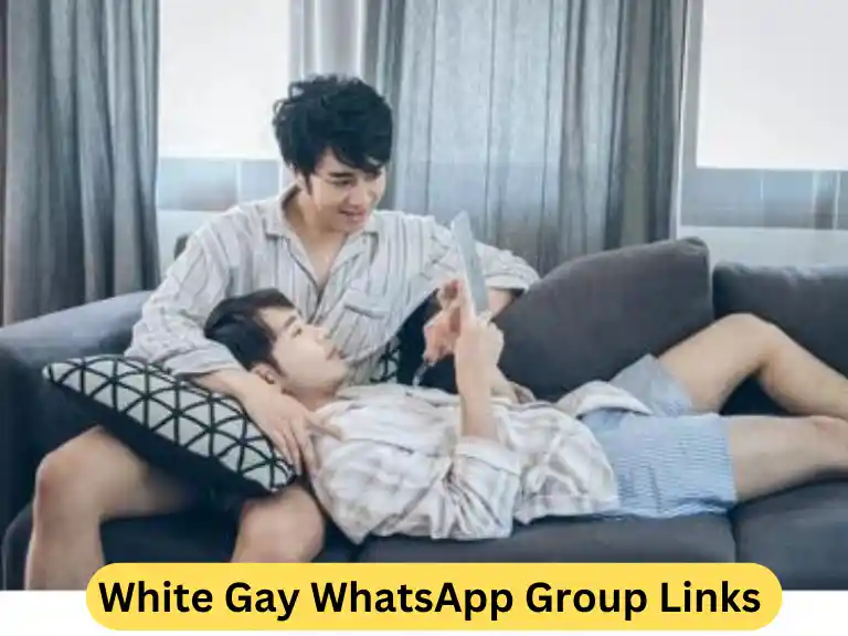 1733+ White Gay WhatsApp Group Links 2024