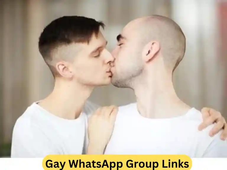 1750+ Gay WhatsApp Group Links 2024